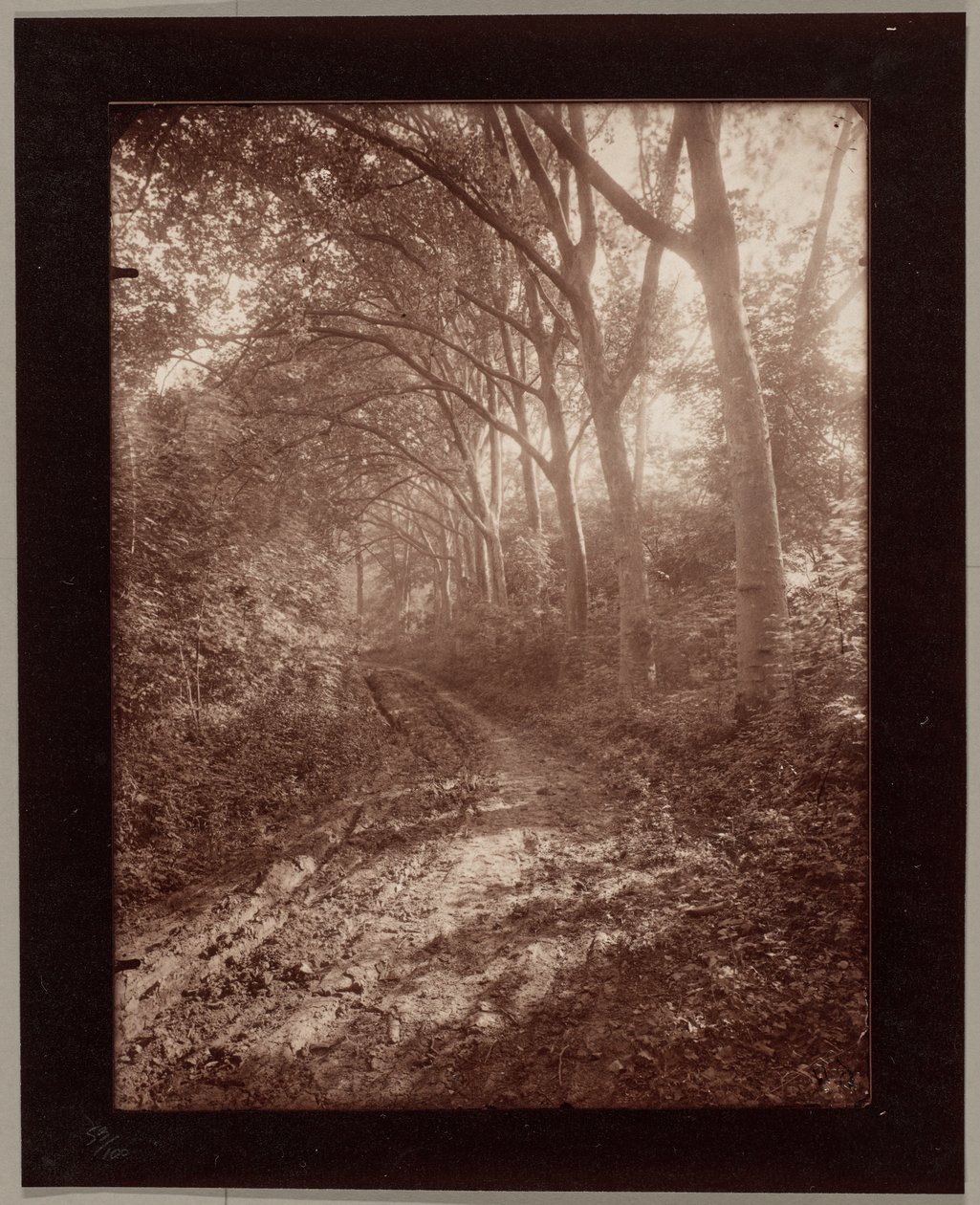Parc de Sceaux av Eugène Atget