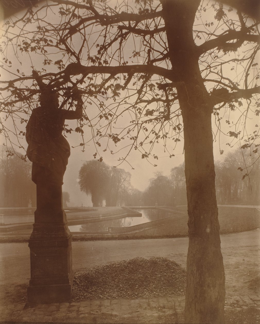 Saint-Cloud,1926 (foto) av Eugène Atget