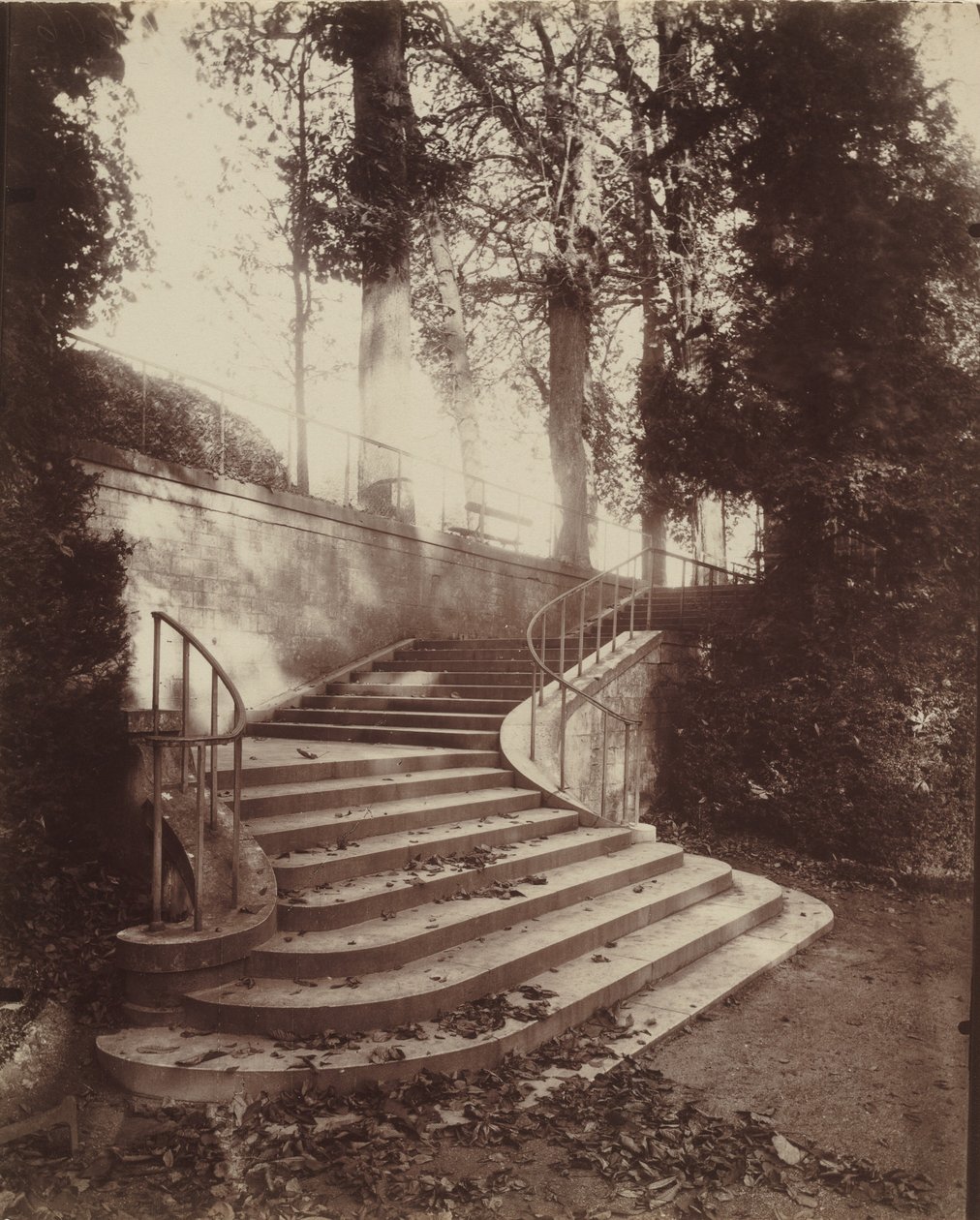 Trappan vid Saint-Cloud,1906 (foto) av Eugène Atget