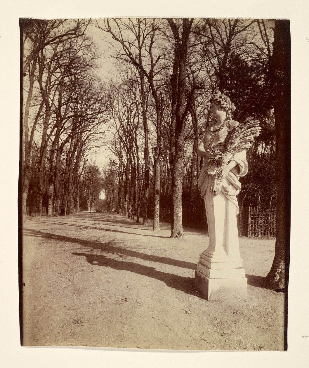 Versaillesparken av Eugène Atget