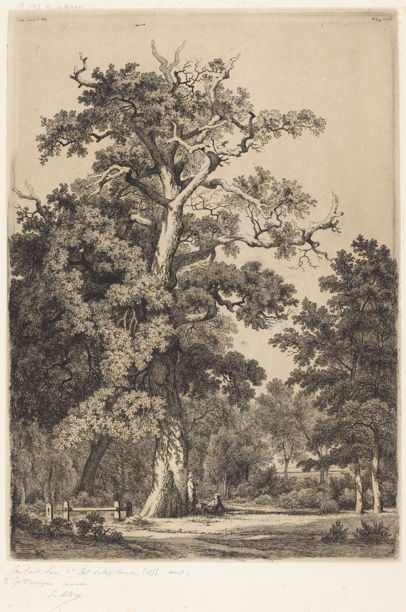 Gammal ek i Bois de Boulogne av Eugene Bléry