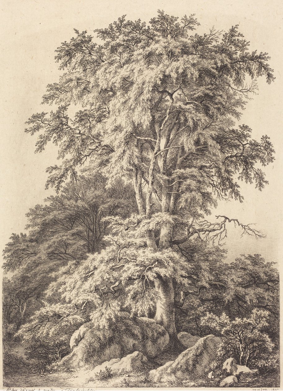 Boklund av Eugene Bléry
