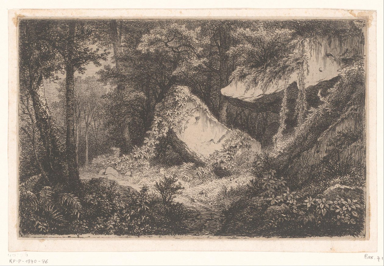 Beväxande rotsen i en bos The White Rocks Svit med 8 etsningar graverade på naturen nära Dampierre av Eug. Bléry (serietitel) av Eugene Bléry