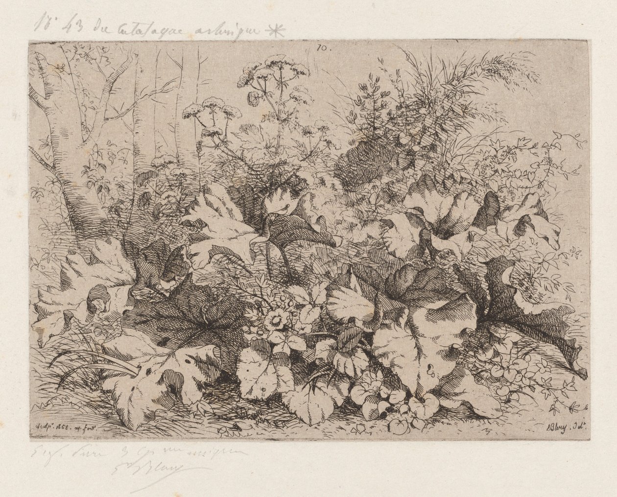 Kardborre i blom, 1858. av Eugene Bléry