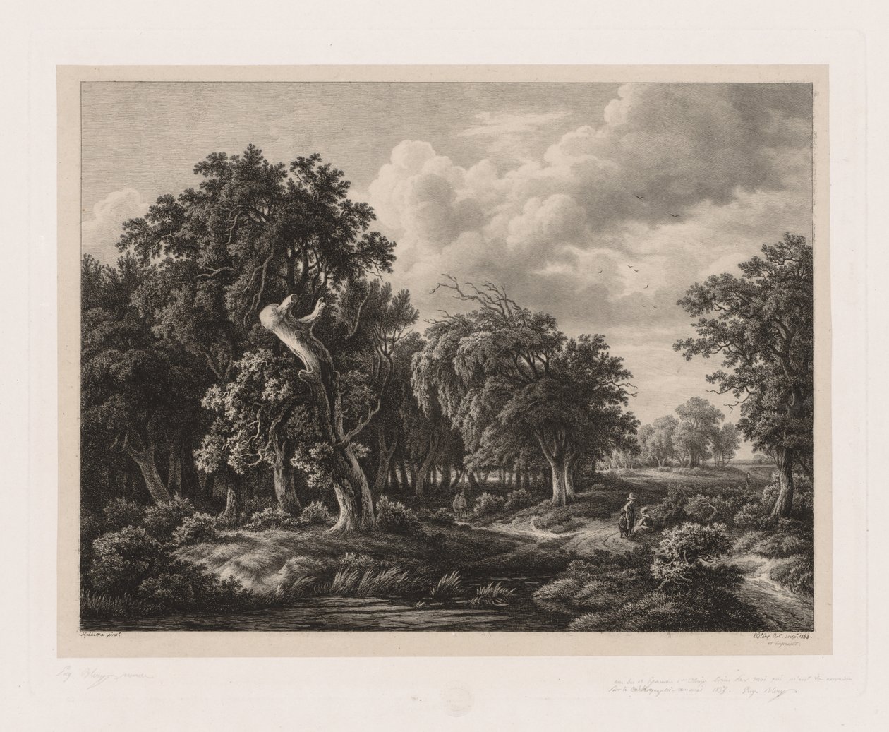 Grupper av olika växter ritade efter naturen: nr 7, 1855. av Eugene Bléry