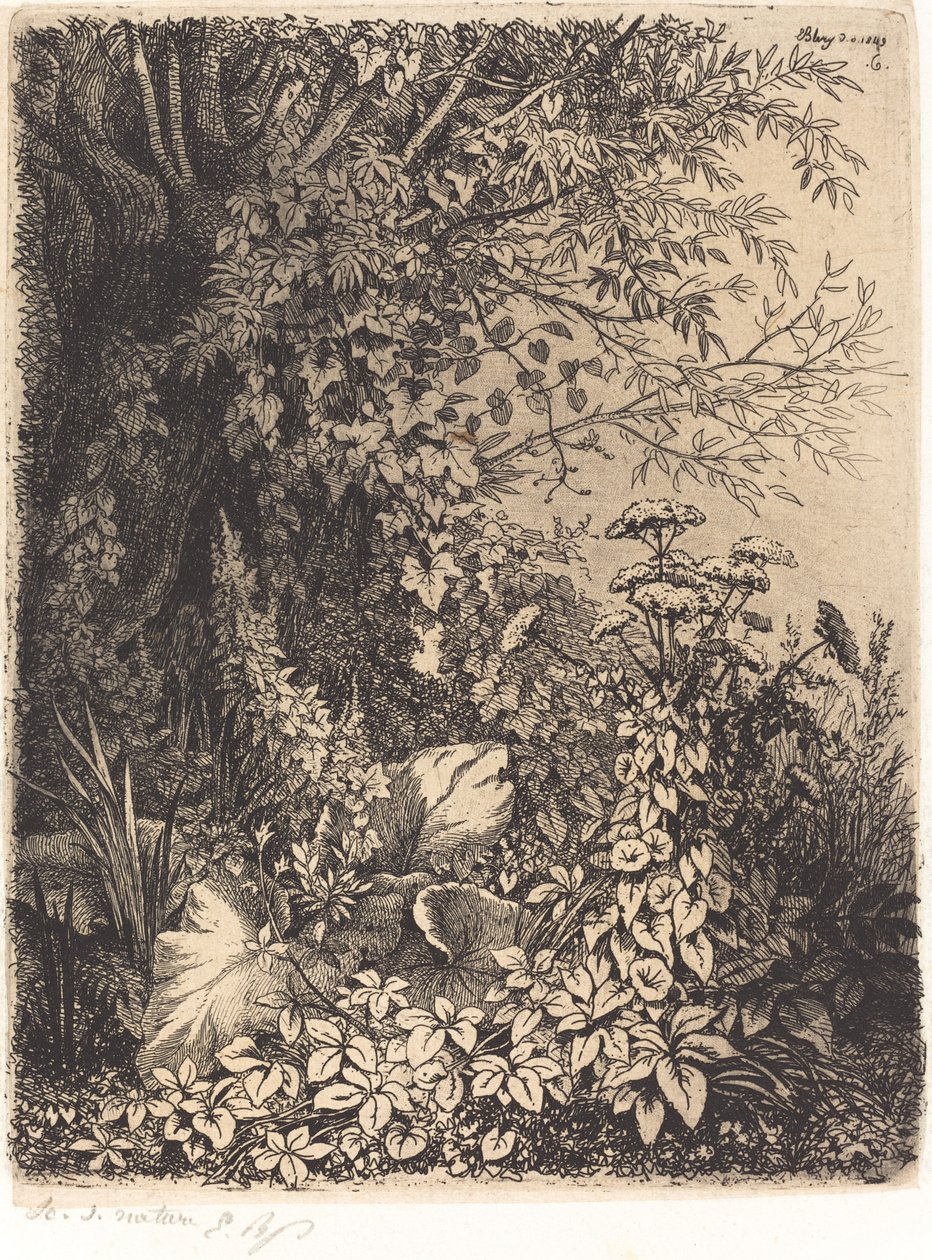 La bardane au saule kardborre med pil, publicerad 1849. av Eugene Bléry