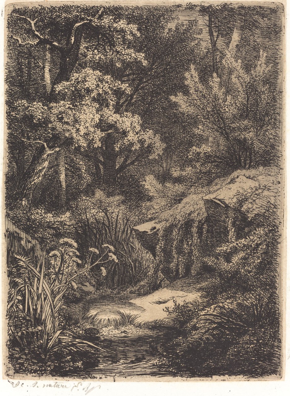 Le petit ruisseau (Den lilla bäcken) av Eugene Bléry