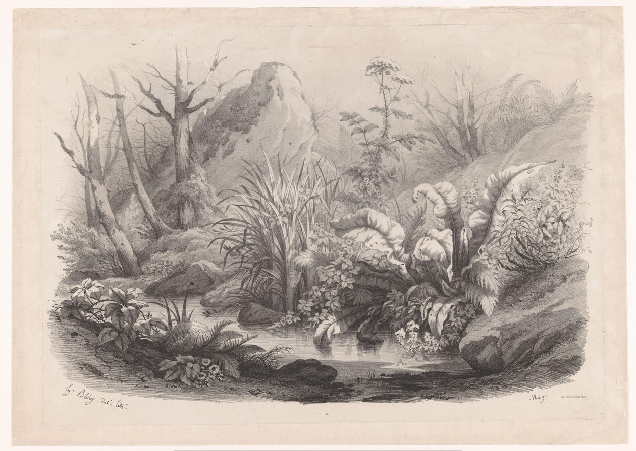 Oeverplanten bij een beek Diverse planter (serietitel) Grupper av olika växter ritade på naturen och litografier (serietitel) av Eugene Bléry