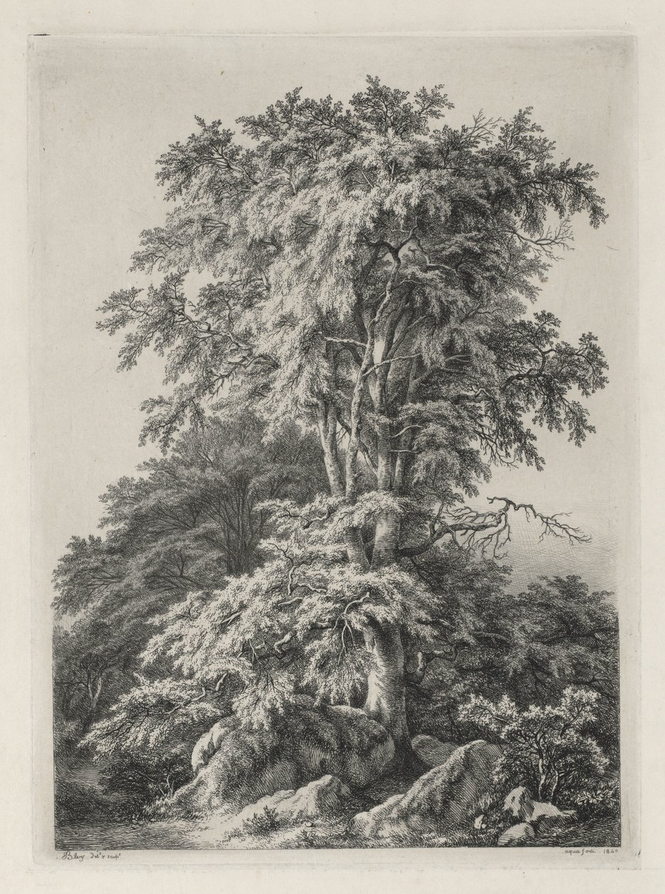 Studier ritade och graverade efter naturen: The Beach, Fontainbleau..., 1840. av Eugene Bléry