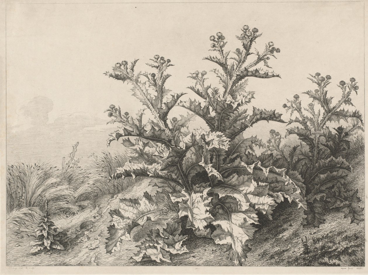 Den stora tisteln (Le Grand Chardon) av Eugene Bléry