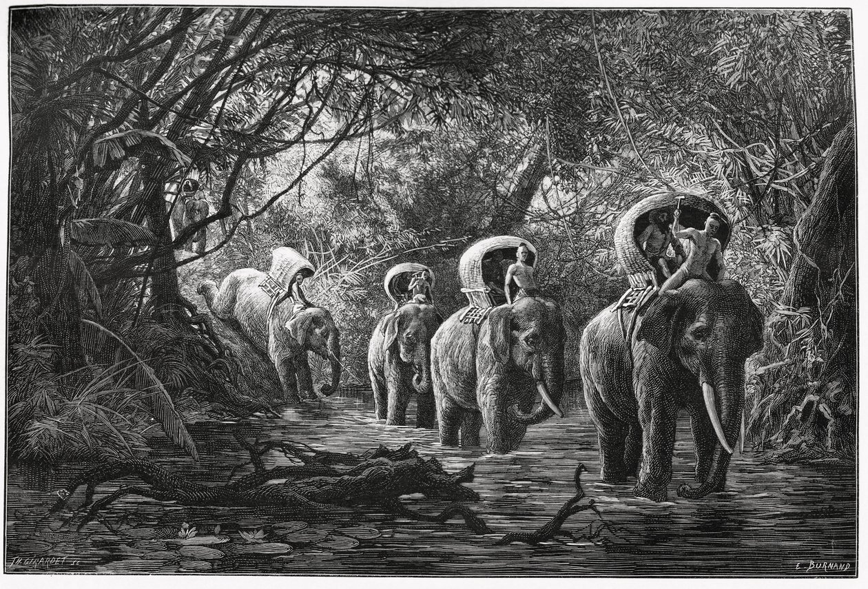 På väg in i skogen reser expeditionen på en elefants rygg. Gravyr av Eugene Burnand, för att illustrera berättelsen "Resan i övre Laos", 1880, av Dr. P.Neis. Publicerad i Le Tour du monde, nouveau journal des voyages, 2:a terminen 18 av Eugene Burnand