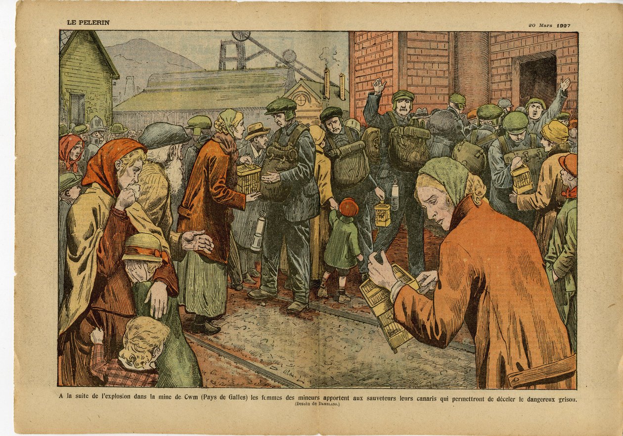 Illustration av Eugene Damblans (1865-1945) i Le Pelerin, 20/03/27 - Efter explosionen i gruvan av... tar gruvarbetarnas kvinnor med till räddare sina kanariefåglar som gör det möjligt att avskräcka den farliga branddampen - England Storbritannien , Gruvdr av Eugene Damblans
