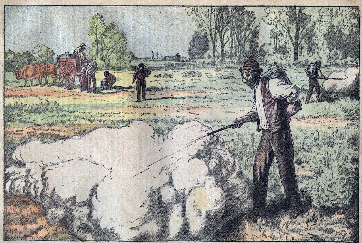 Förstörelsen av muloterna (Apodemus) av den kvävande gasen i gryningen - gravyr av Damblans - le-pelerin från 1923 av Eugene Damblans