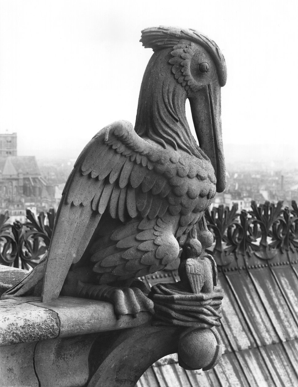 Pelikangargoyl från balustraden i Grande Galerie på västfasaden, kopia av ett original från 1100-talet (sten) (s/v foto) av Eugene Emmanuel Viollet le Duc