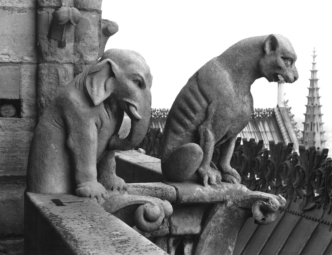 Elefant- och lejongargoyler från balustraden i Grande Galerie på västfasaden, kopia av ett original från 1100-talet (sten) (s/v foto) av Eugene Emmanuel Viollet le Duc