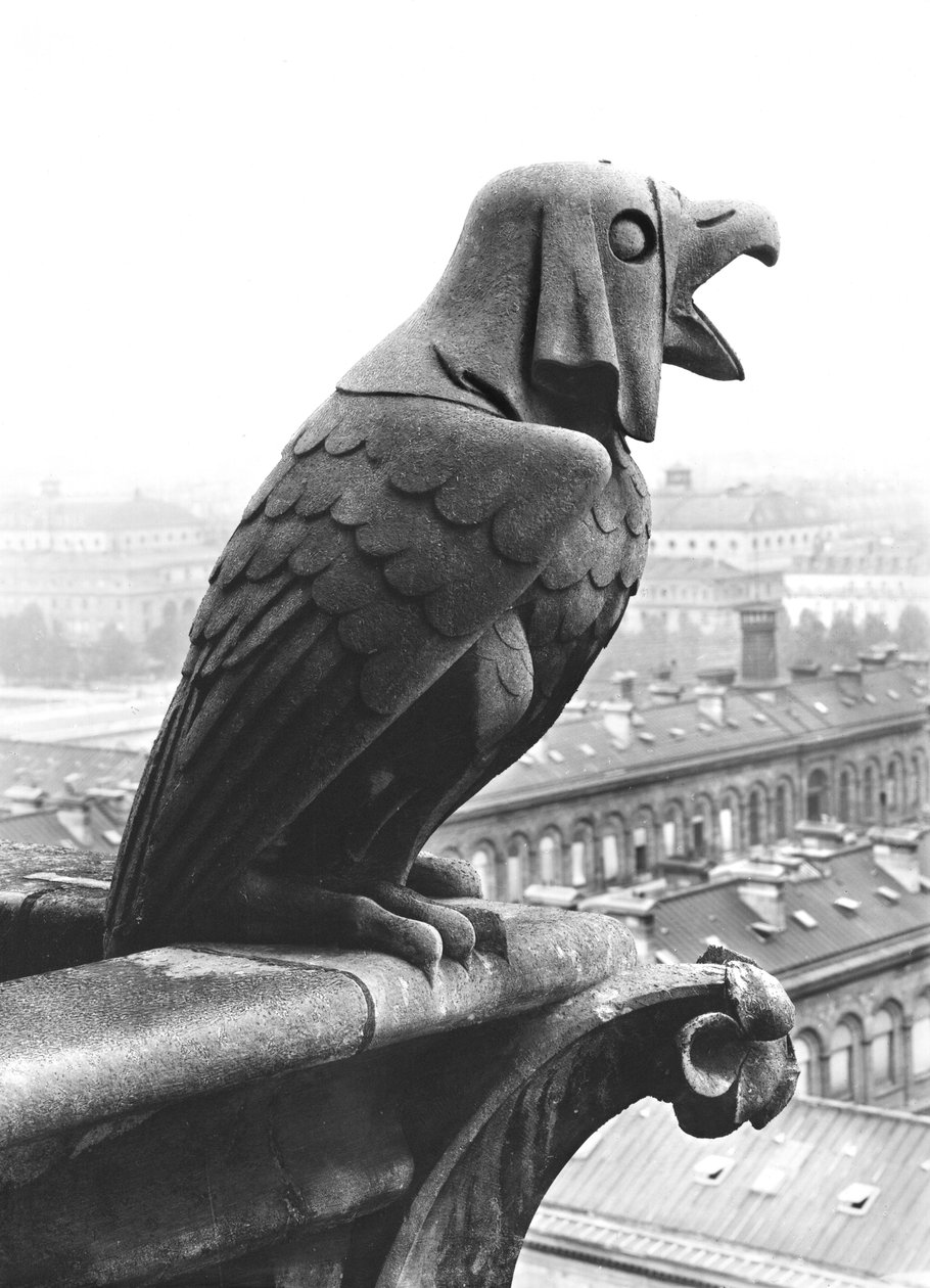 Gargoyle från balustraden i Grande Galerie på västfasaden, kopia av ett original från 1100-talet (sten) (s/v foto) av Eugene Emmanuel Viollet le Duc