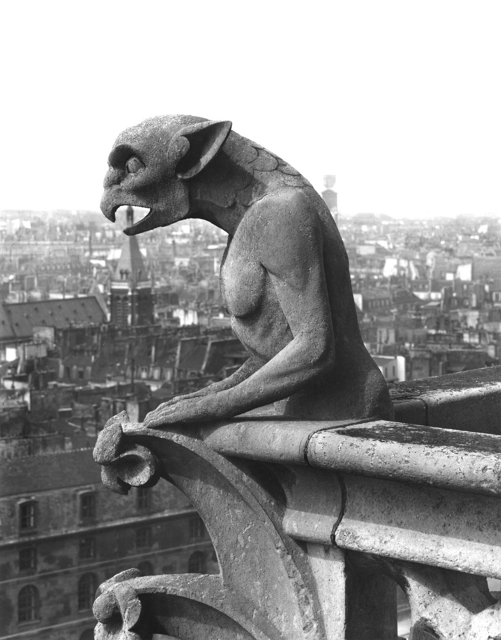 Gargoyle från balustraden i Grande Galerie på västfasaden, kopia av ett original från 1100-talet (sten) (s/v foto) av Eugene Emmanuel Viollet le Duc