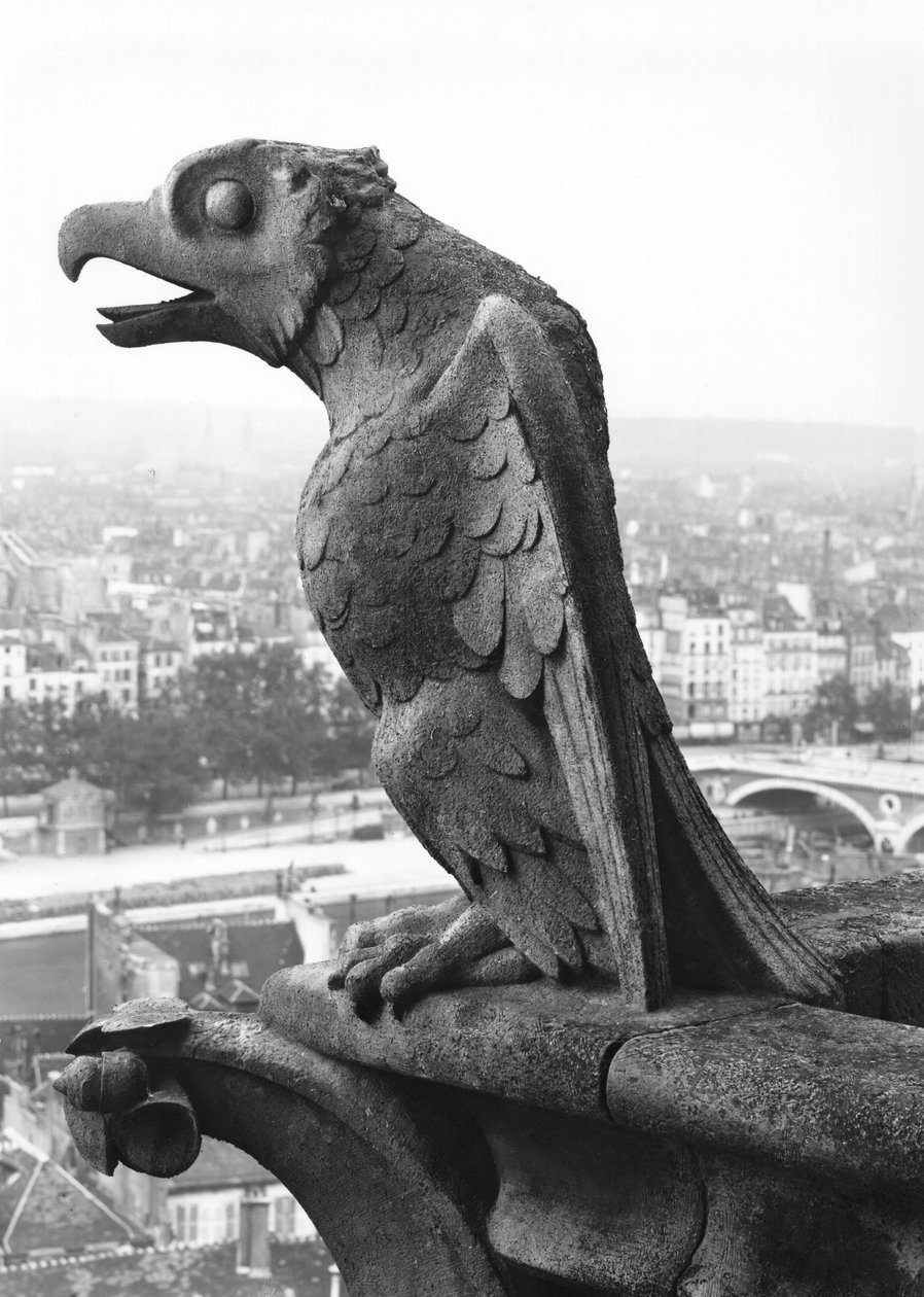 Gargoyle från balustraden i Grande Galerie på västfasaden, kopia av ett original från 1100-talet (sten) (s/v foto) av Eugene Emmanuel Viollet le Duc
