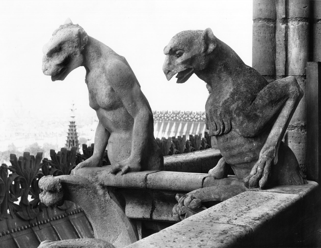 Gargoyler från balustraden i Grande Galerie på västfasaden, kopia av ett original från 1100-talet (sten) (s/v foto) av Eugene Emmanuel Viollet le Duc