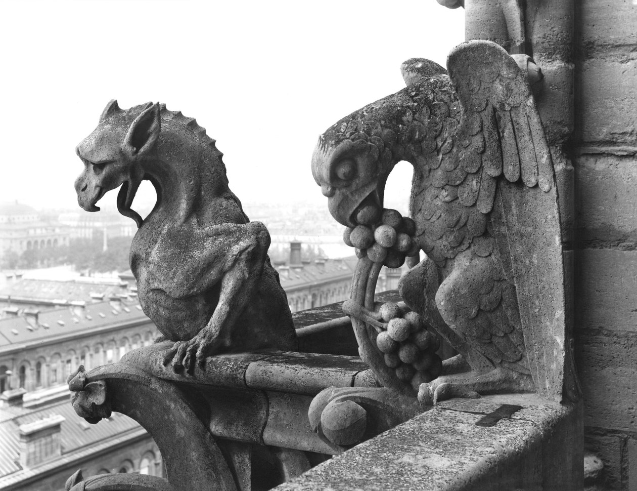 Gargoyler från balustraden i Grande Galerie på västfasaden, kopia av ett original från 1100-talet (sten) (s/v foto) av Eugene Emmanuel Viollet le Duc