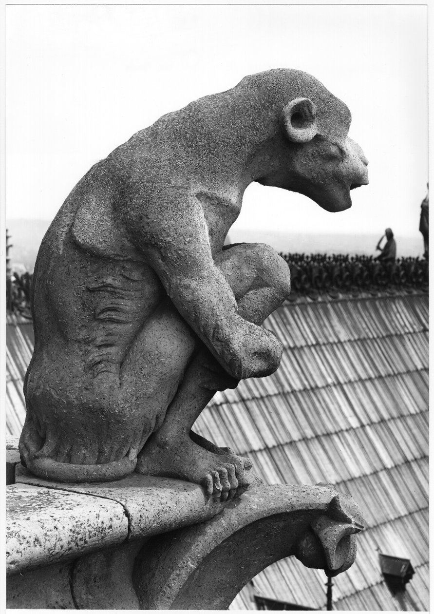 Apgargoyle, från balustraden i Grande Galerie på västfasaden, kopia av ett original från 1100-talet (sten) (s/v foto) av Eugene Emmanuel Viollet le Duc