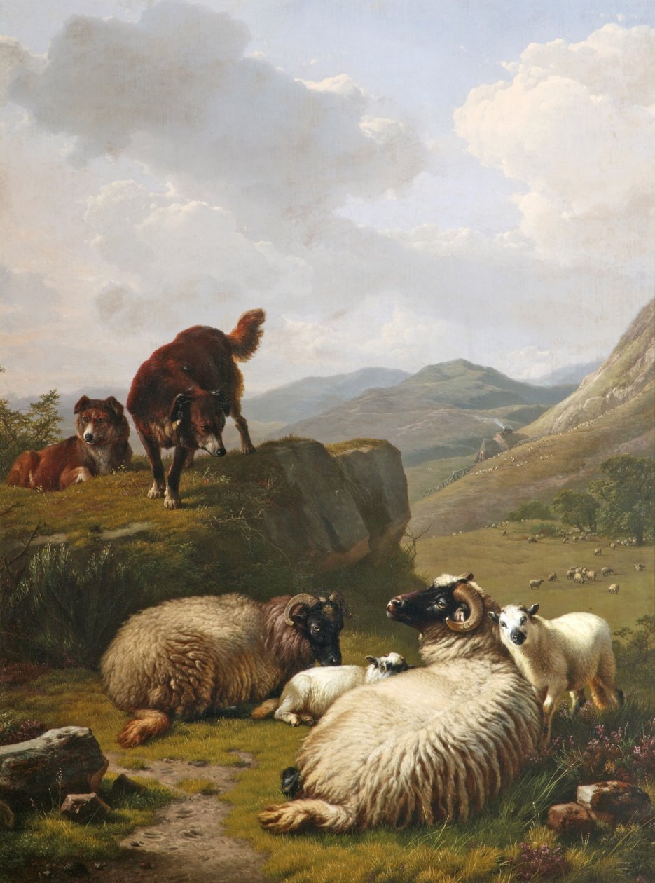 Får och hundar av Eugene Joseph Verboeckhoven