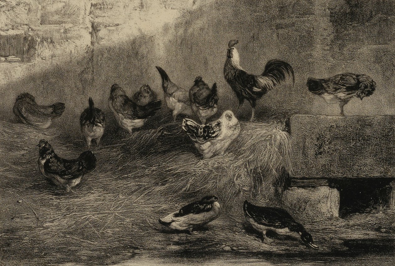 Kycklingar och ankor av Eugene Leroux