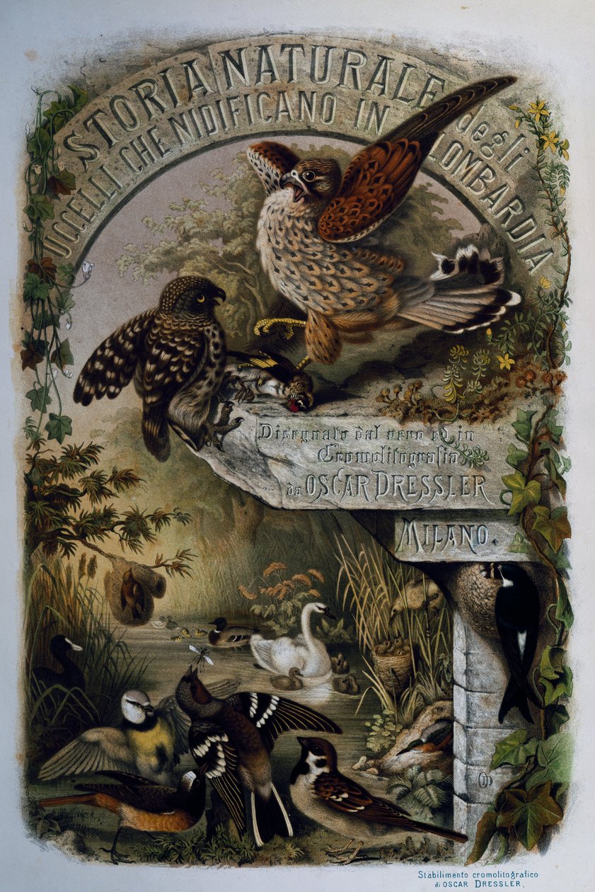 Titelsida av Natural History of Birds that häckar i Lombardiet, av Eugenio Bettoni (1845-1898), gravyr av Oscar Dressler, Italien av Eugenio Bettoni, Oscar Dressler