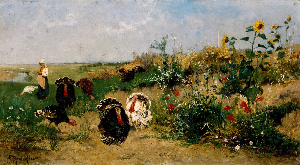 Kalkoner av Eugenio Spreafico