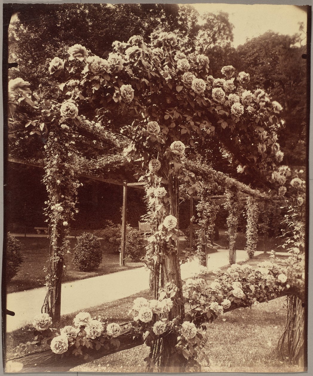 [Jardin de Bagatelle] av Eugène Atget