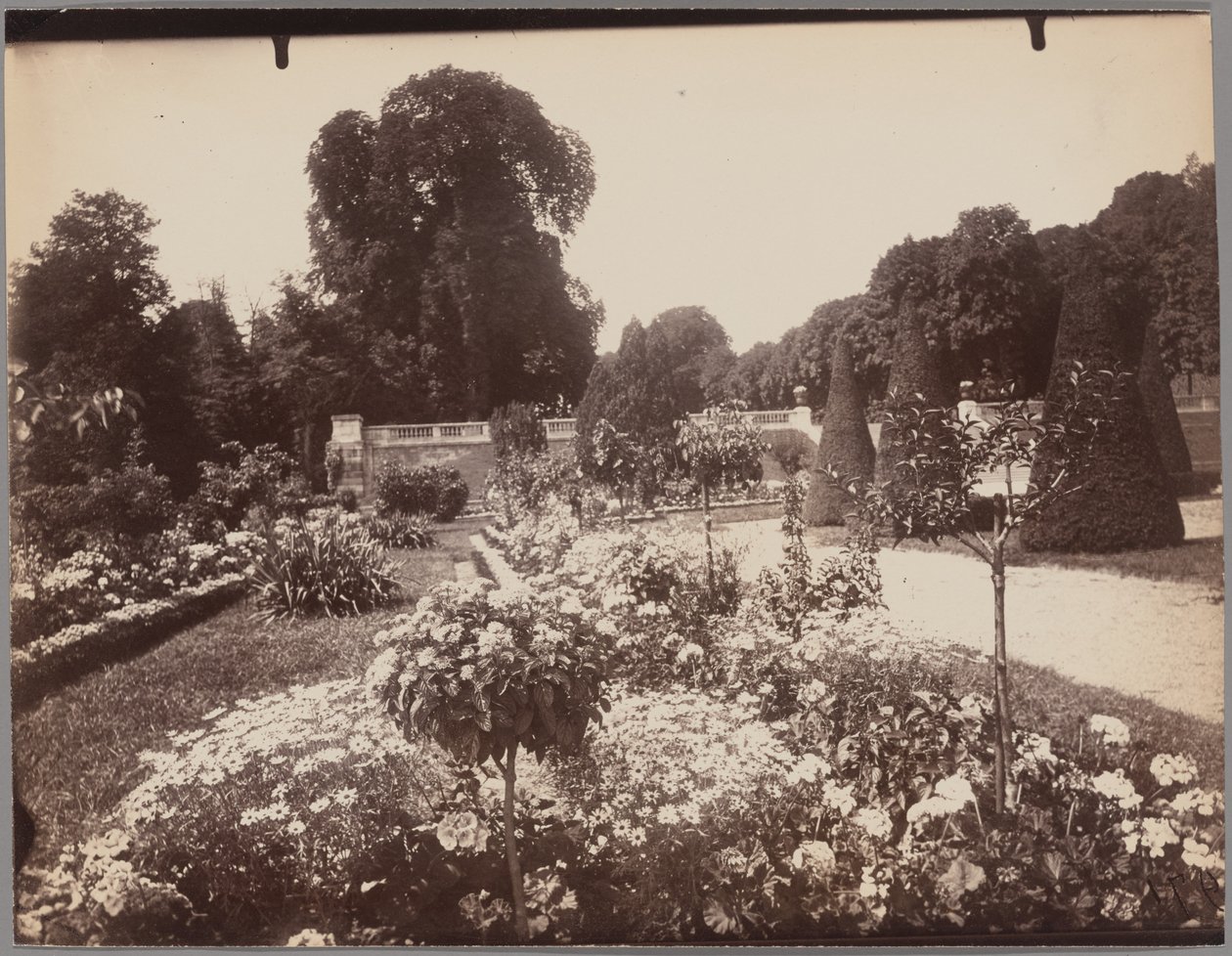 Saint-Cloud av Eugène Atget