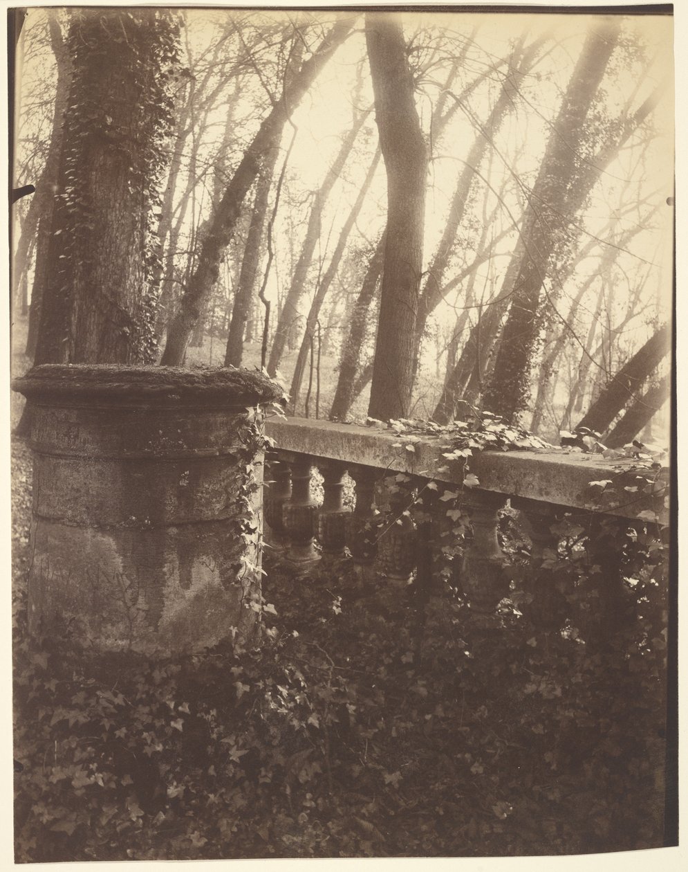 Saint-Cloud Park, Paris av Eugène Atget