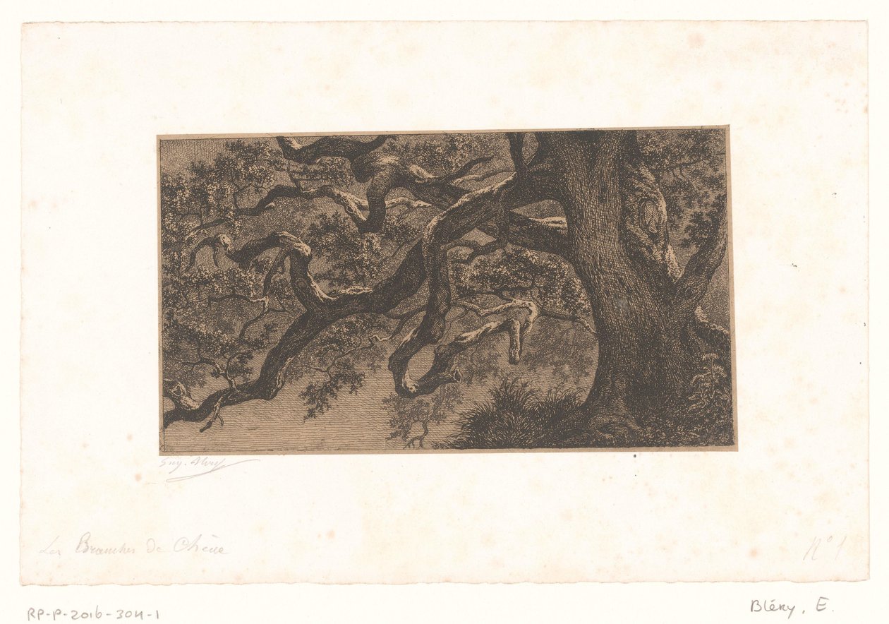 Kastanjetakken Ekgrenar (titel på objekt) Små vyer över skogen Fontainebleau (serietitel) av Eugène Bléry (signed by artist)