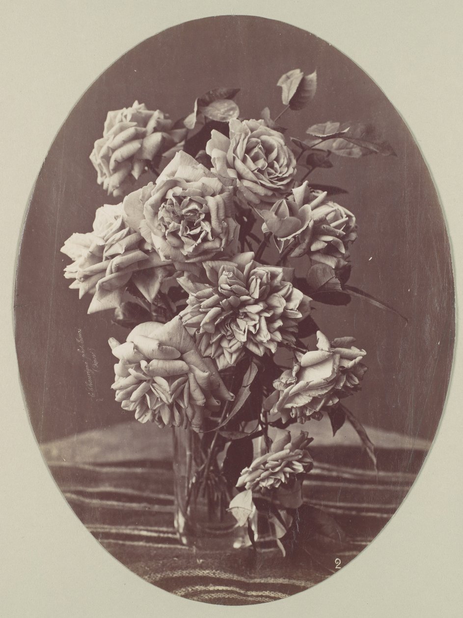 [Rosor], ca. 1875. av Eugène Chauvigné