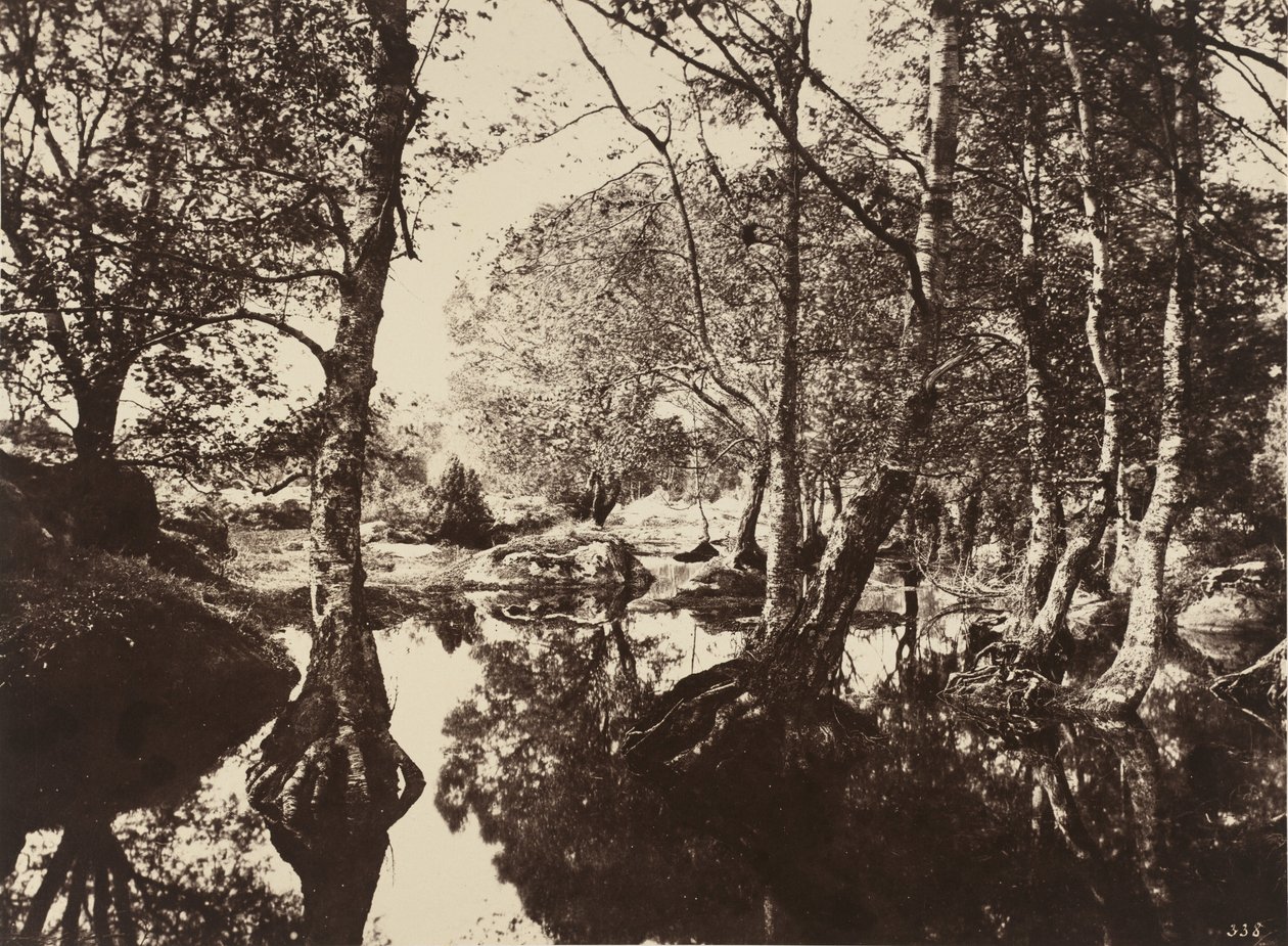 Belle-Croix,1860-talet (foto) av Eugène Cuvelier