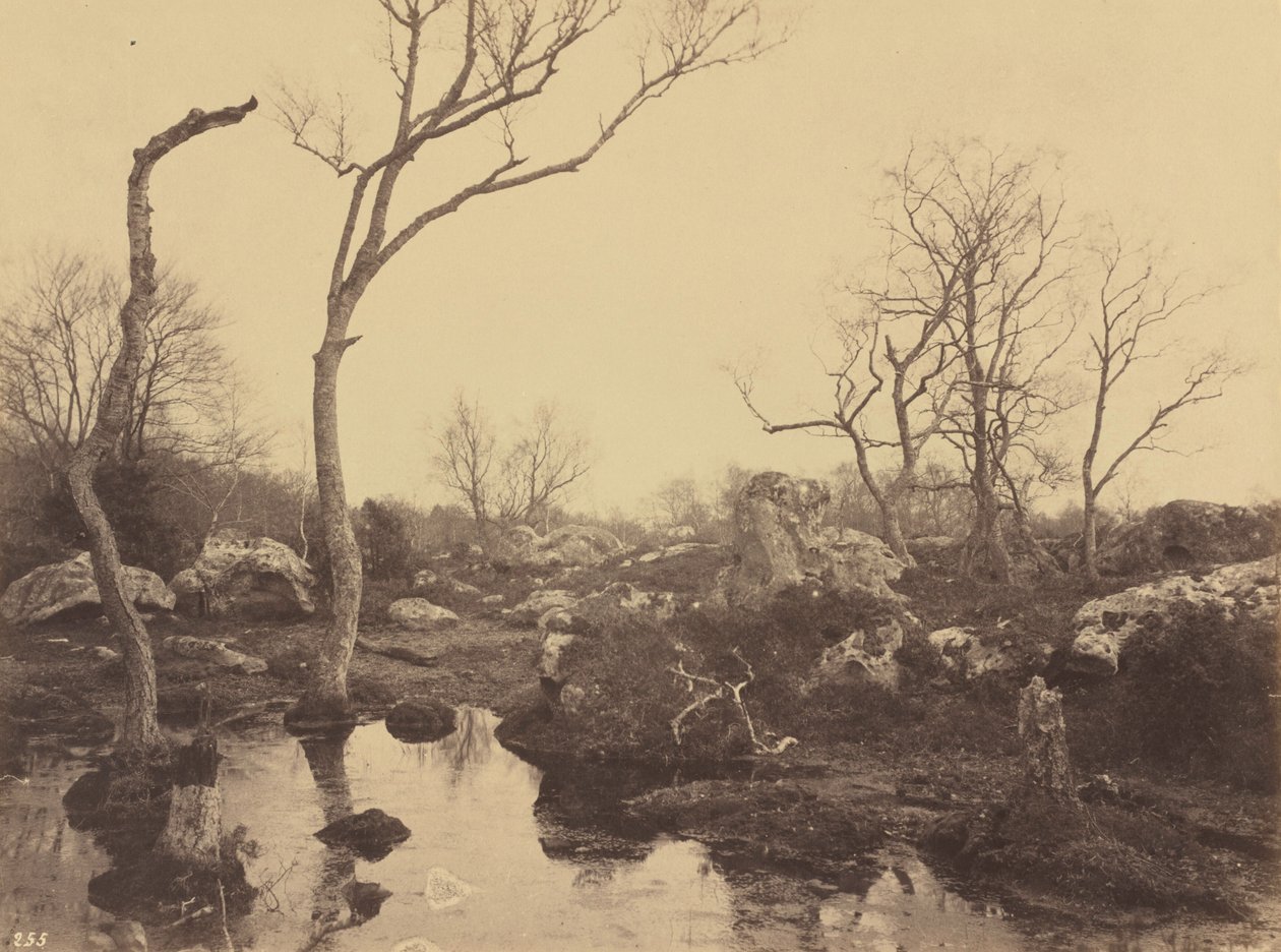 Belle Croix, ca 1858 (foto) av Eugène Cuvelier