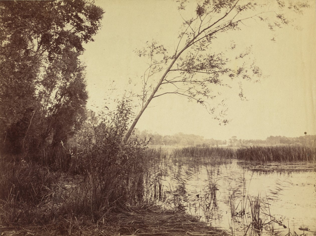 Marais de Fampoux,tidigt 1860-tal (foto) av Eugène Cuvelier