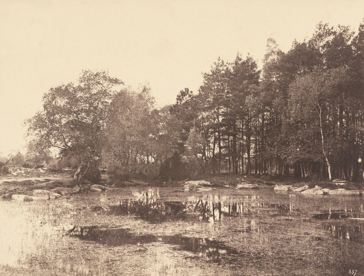 Träsket vid Piat (Belle-Croix-platån), ca 1863 (foto) av Eugène Cuvelier
