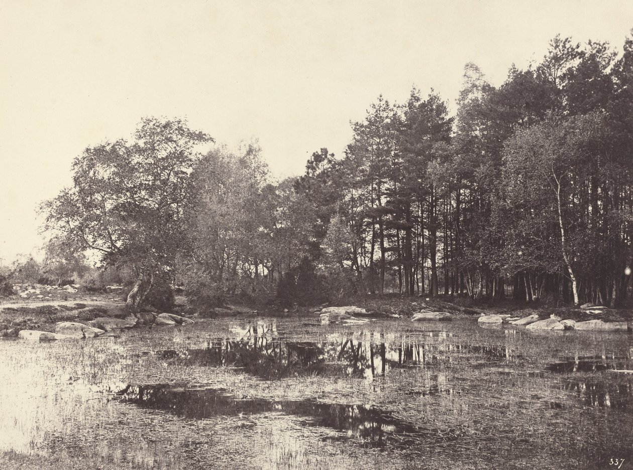 Marsh vid Piat Belle-Croix Plateau, ca. 1863. av Eugène Cuvelier