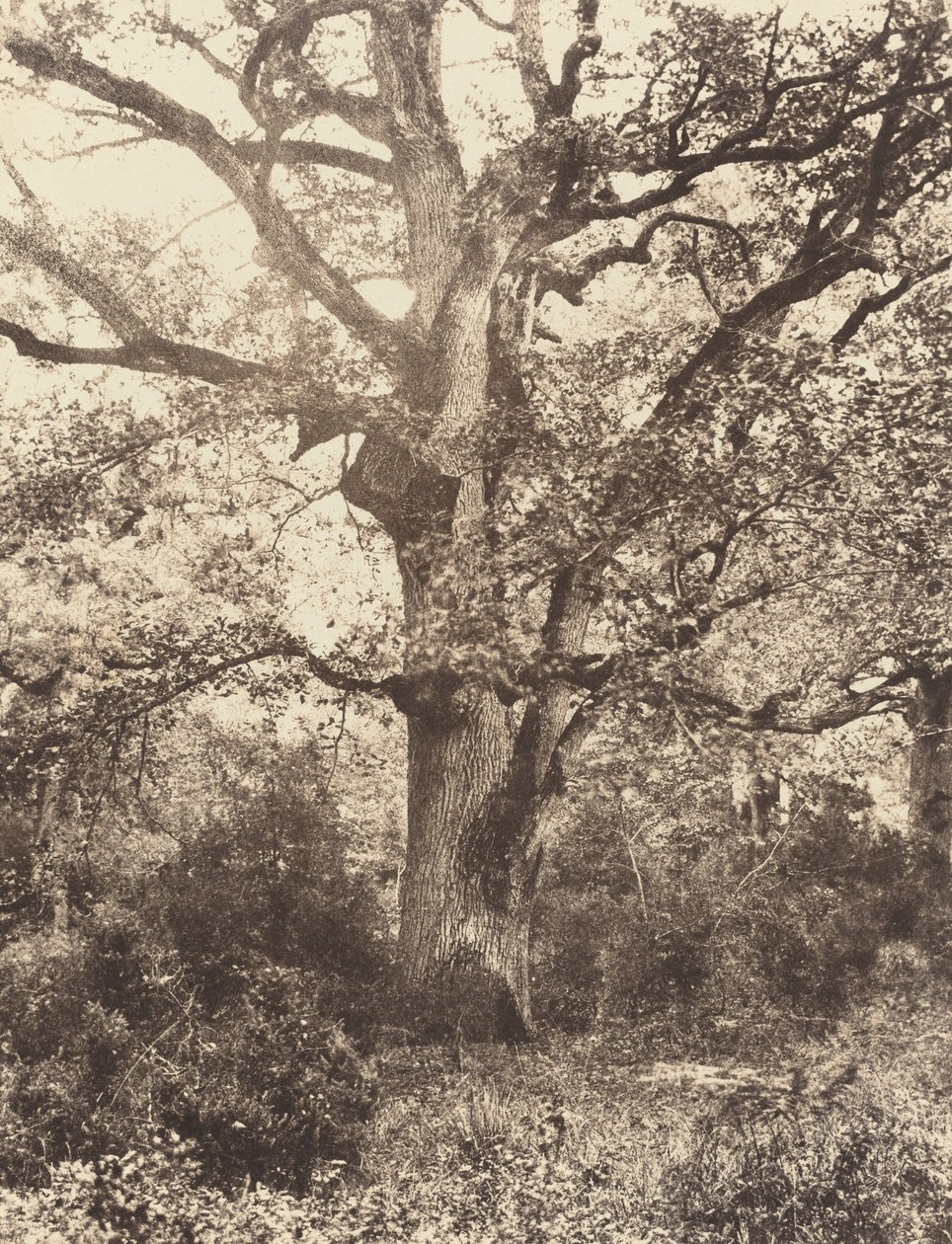 Nära Bodmer, 1860-talet. av Eugène Cuvelier