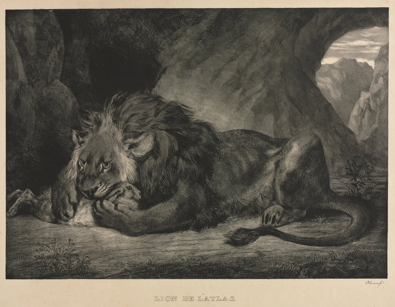 Lejon av Atlasbergen av Eugène Delacroix