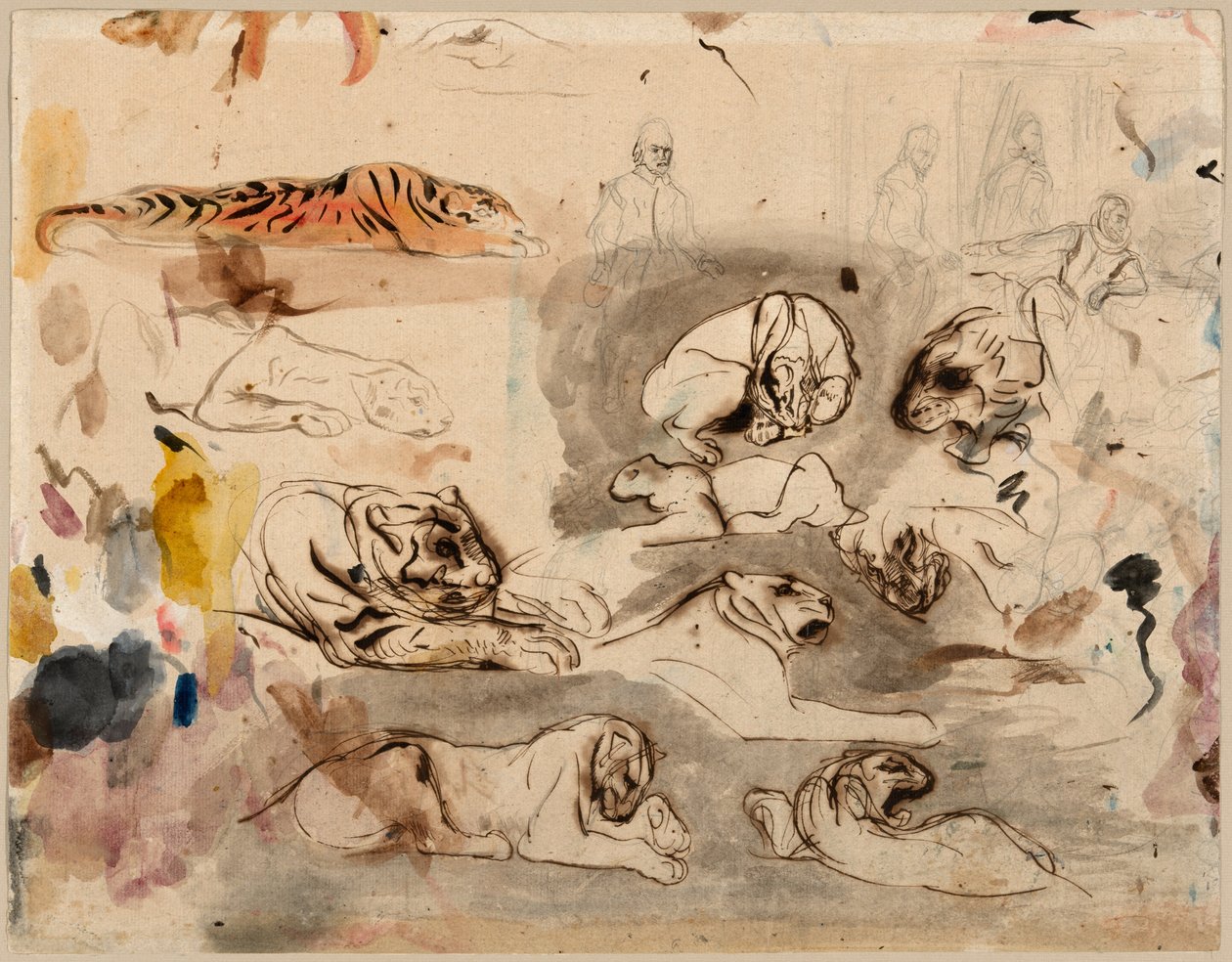 Skisser av tigrar och män i 1500-talsdräkt av Eugène Delacroix