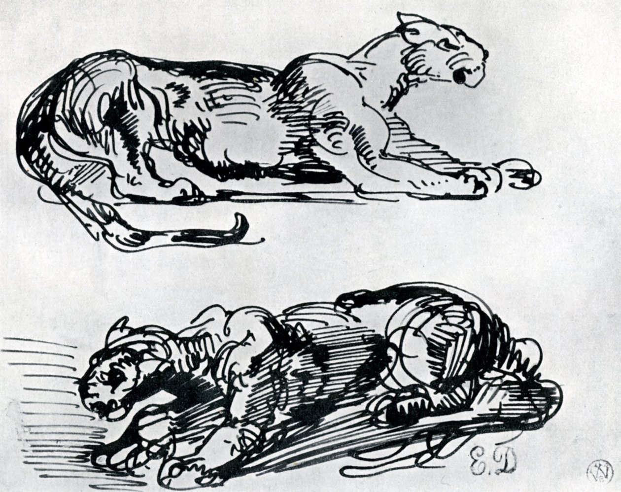 Studies of Panthers, 1913 av Ferdinand Victor Eugene Delacroix
