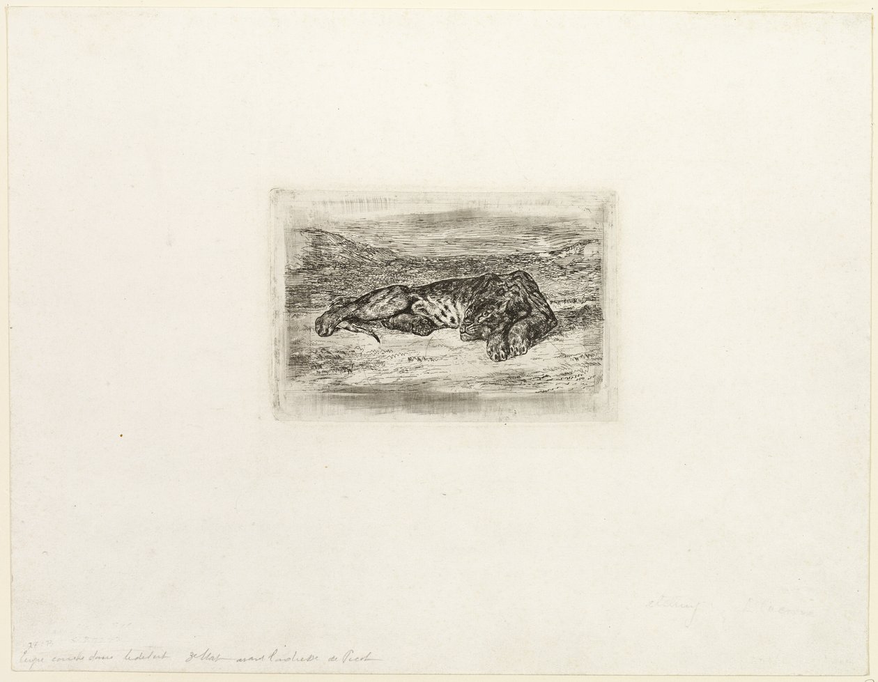 Tiger vilar i öknen av Eugène Delacroix