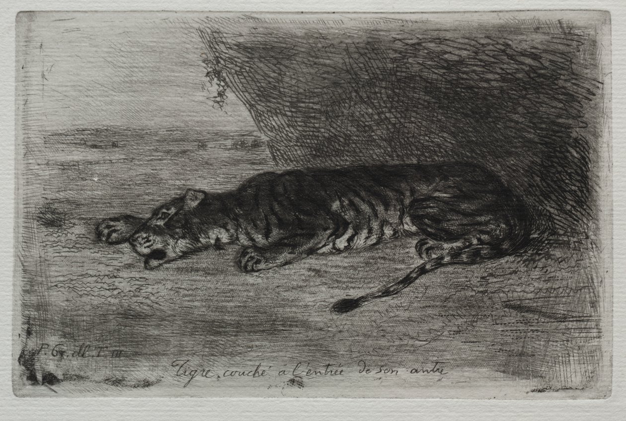 Tiger som sover vid ingången till hans lya av Eugène Delacroix
