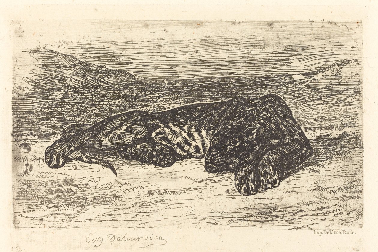 Tiger som sover i öknen Tiger som sover i öknen, 1846. av Eugène Delacroix