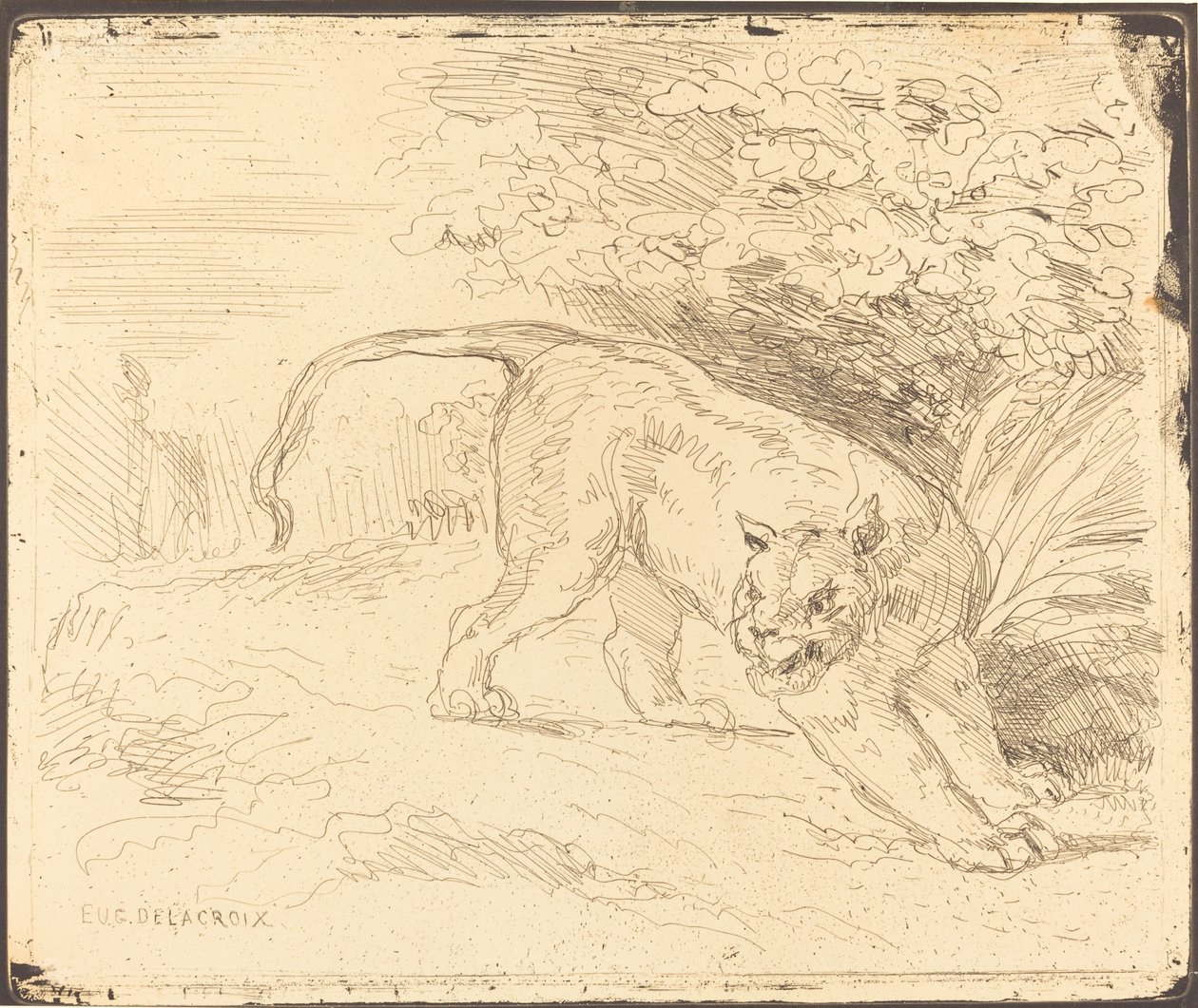Tiger i Stop, 1854. av Eugène Delacroix