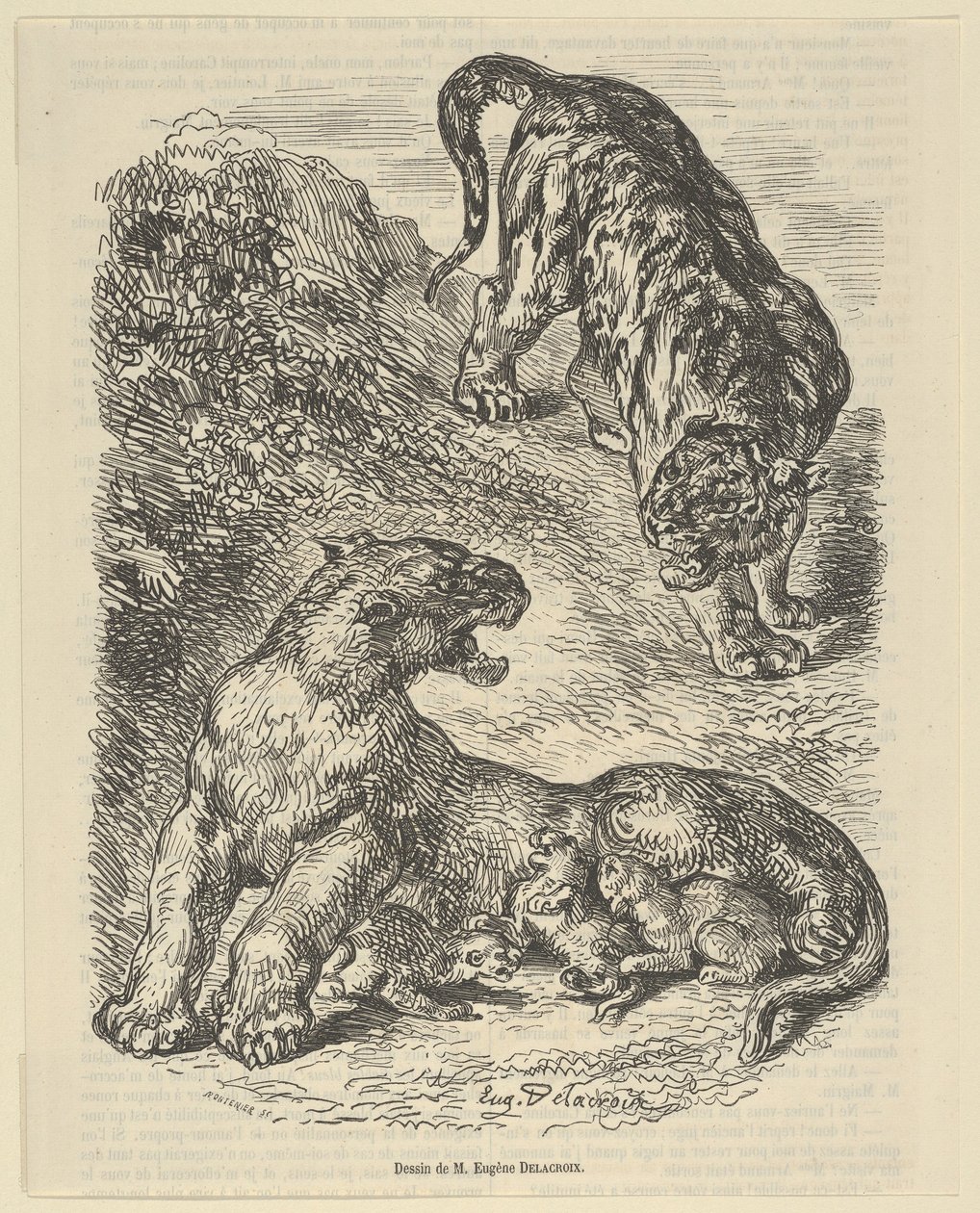 Tigress attackerad av en tiger medan hon ammade hennes unga, 1853., 1853. av Eugène Delacroix