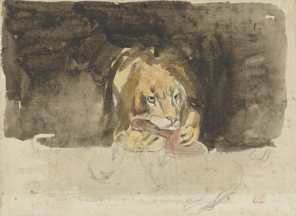 Köttätande lejon, sett framifrån, kommer ut mot en mörk bakgrund av Eugène Delacroix