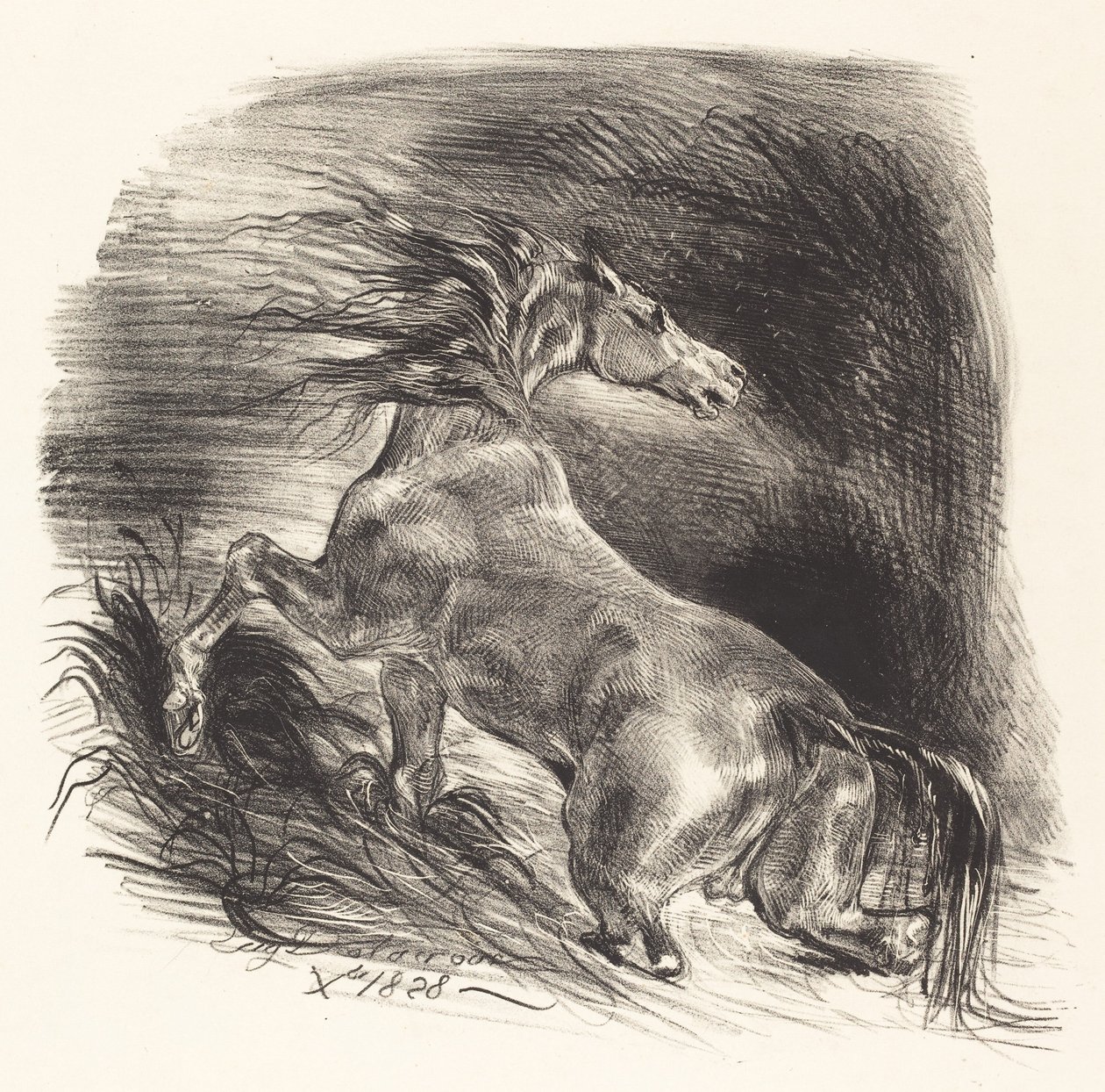 Vildhäst som kommer ur vattnet (Cheval sauvage) av Eugène Delacroix
